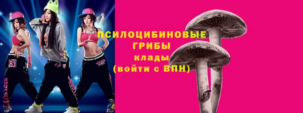 ешки Аркадак