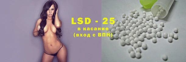 ешки Аркадак