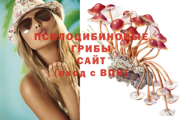 МДПВ Армянск