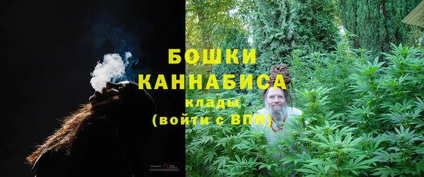 ешки Аркадак
