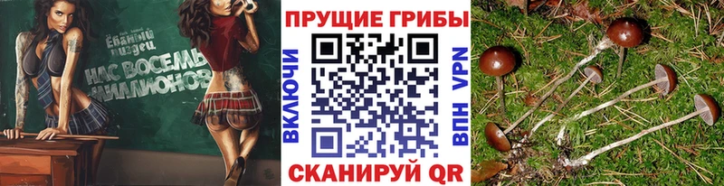 Галлюциногенные грибы мухоморы  kraken   Армянск  цены  